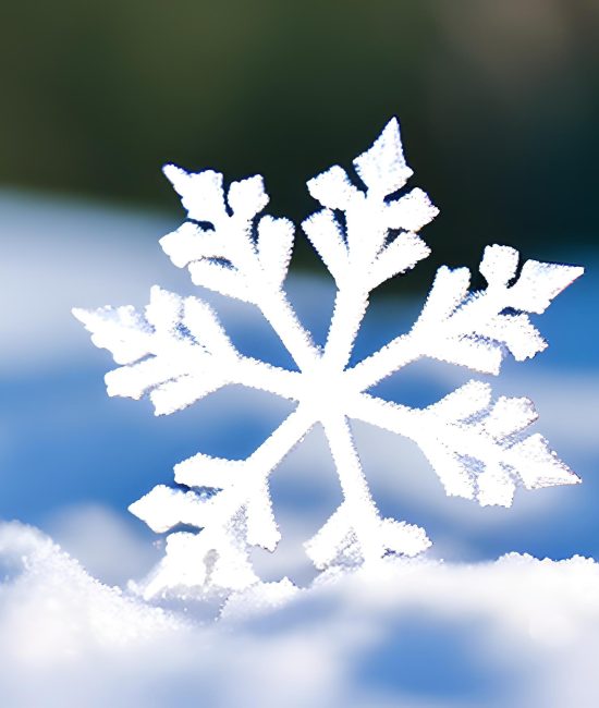 snowflake-snow-with-snow-ground snowflake-snow-with-snow-ground
